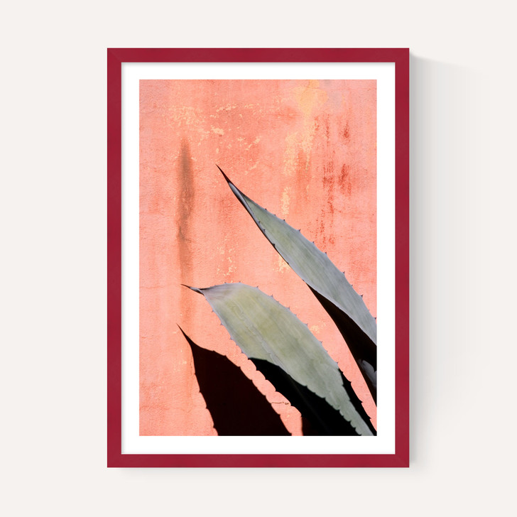 Peach Cactus
