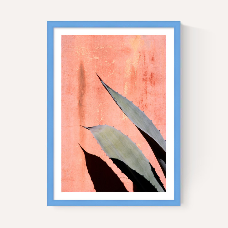 Peach Cactus