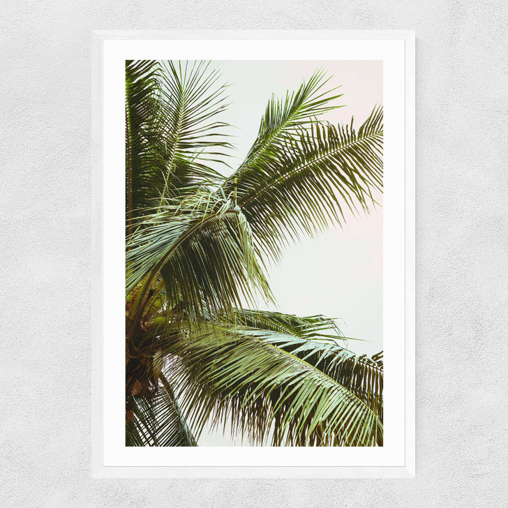 Palm Trees Above Me Narrow White Frame Palm Trees Above Me Narrow White Frame