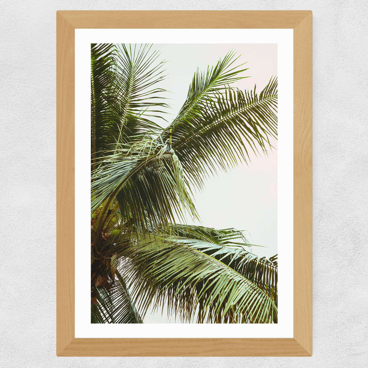 Palm Trees Above Me Wide White Frame Palm Trees Above Me Wide White Frame
