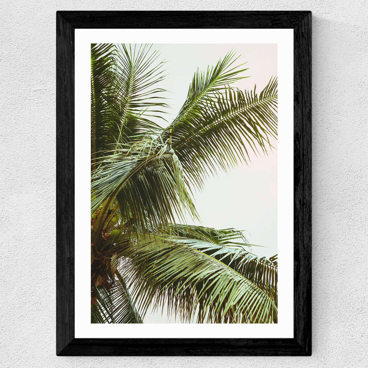 Palm Trees Above Me Wide Black Frame