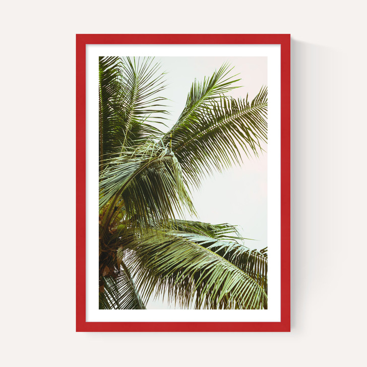 Palm Trees Above Me