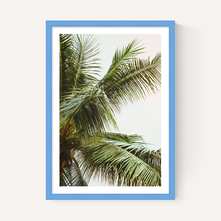 Palm Trees Above Me