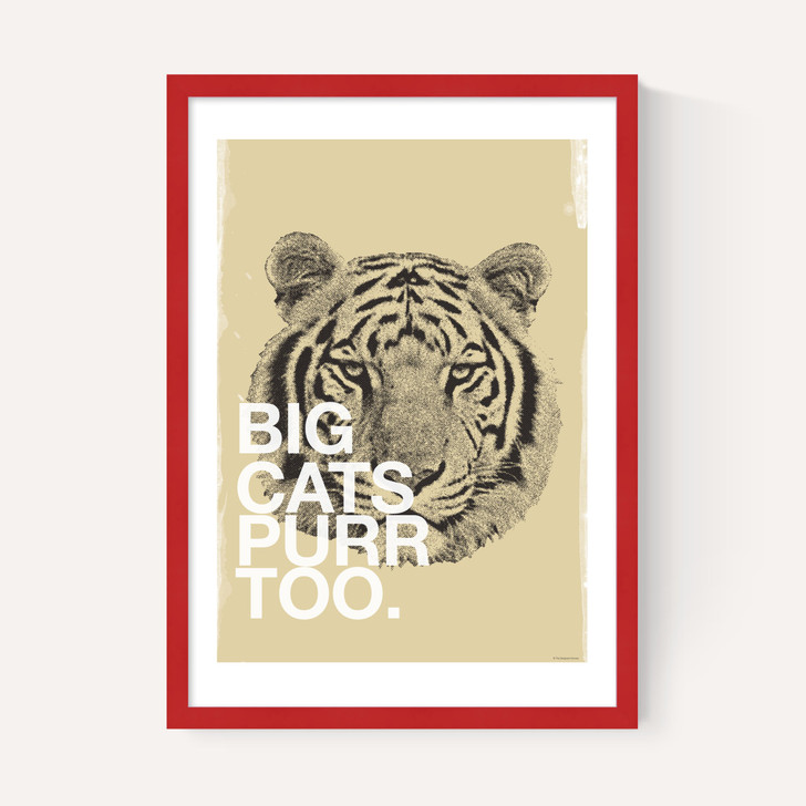 Big Cats Purr Too