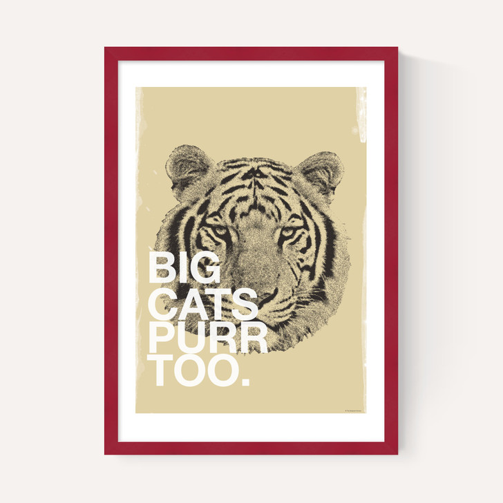 Big Cats Purr Too