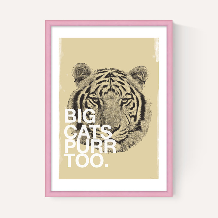 Big Cats Purr Too