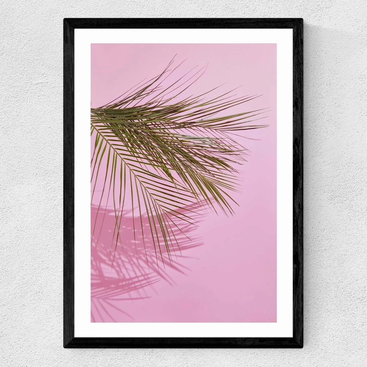 Frond of You