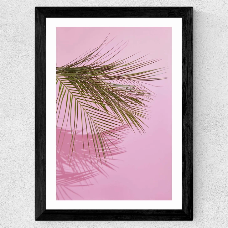 Frond of You