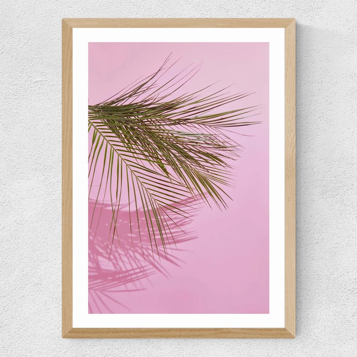 Frond of You