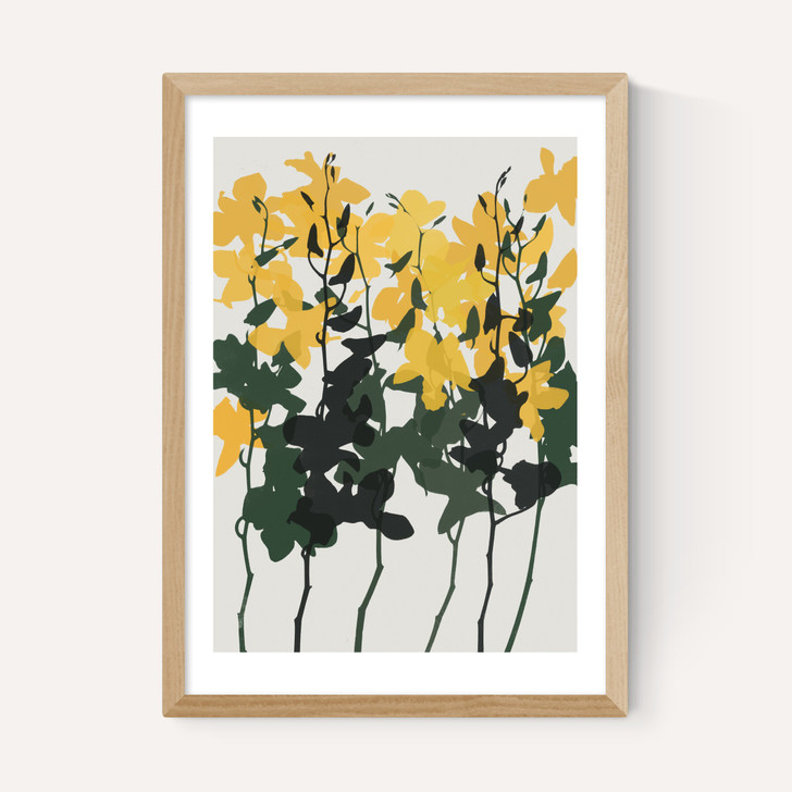 Orchids 7