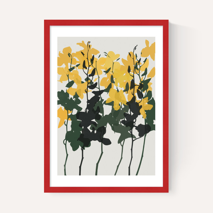 Orchids 7