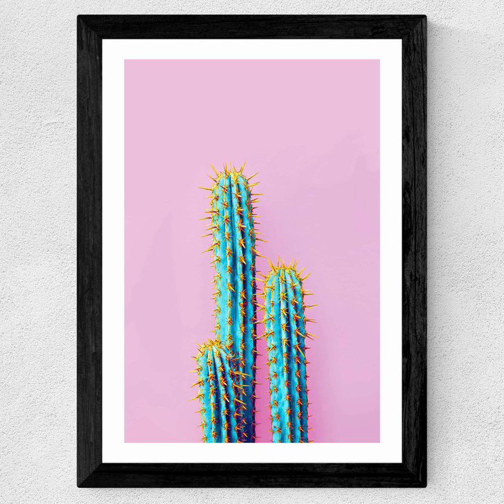 Fluoro Cactus Wide Black Frame Fluoro Cactus Wide Black Frame