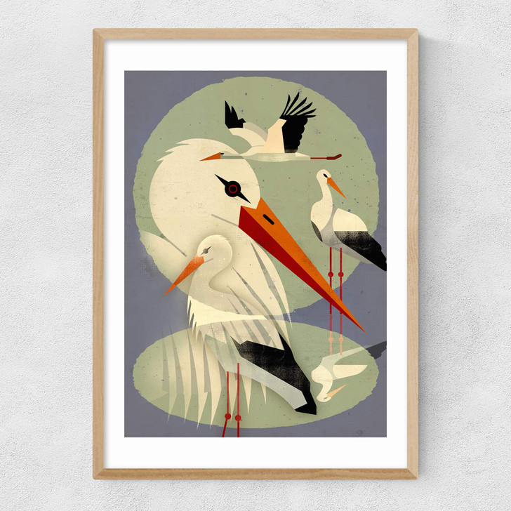 Storks