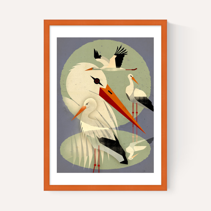 Storks