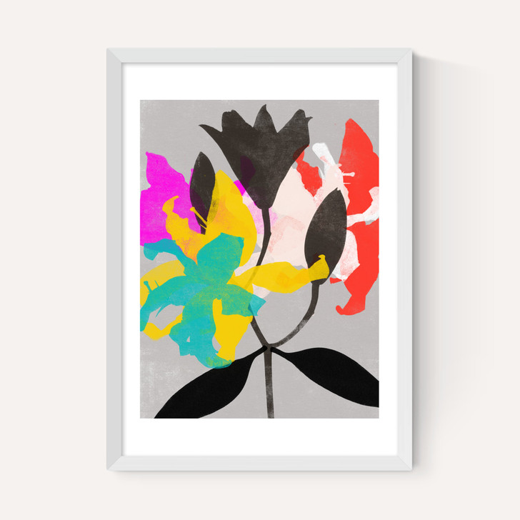 Lily III