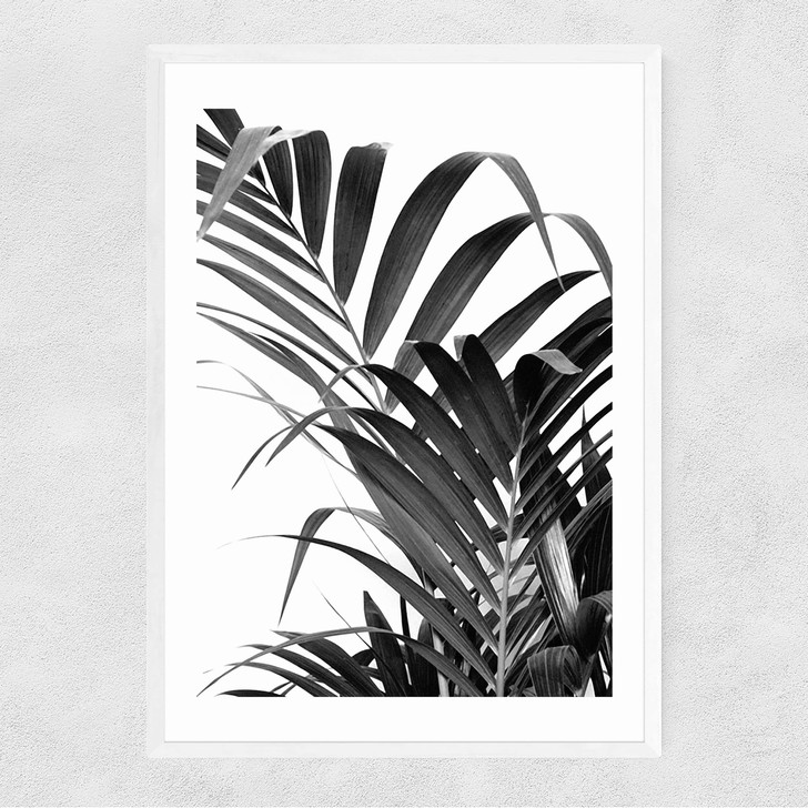Palm Leaf 02 Narrow White Frame Palm Leaf 02 Narrow White Frame