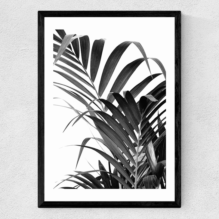 Palm Leaf 02 Medium Black Frame