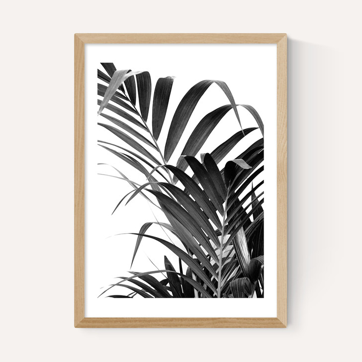 Palm Leaf 02