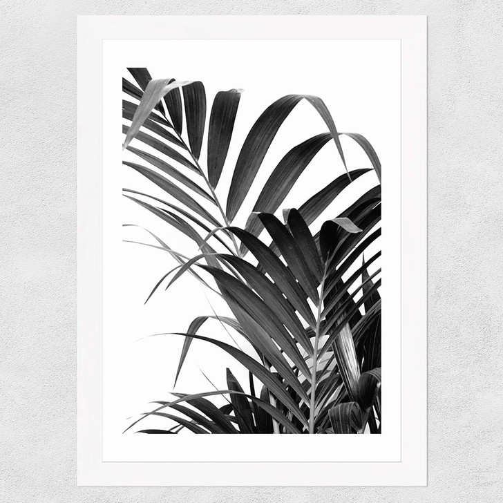 Palm Leaf 02 Wide White Frame