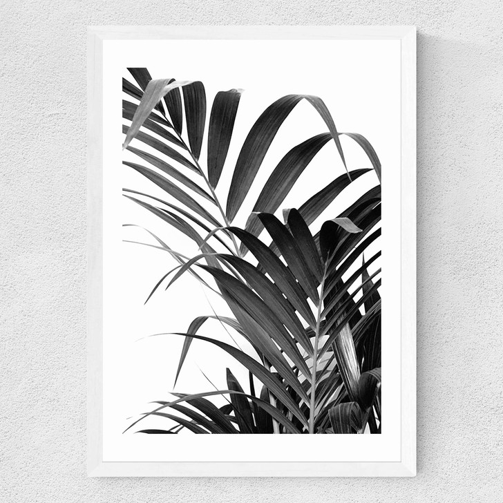 Palm Leaf 02 Medium White Frame
