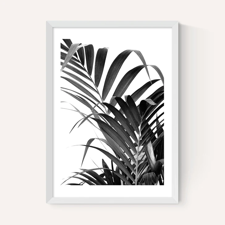 Palm Leaf 02