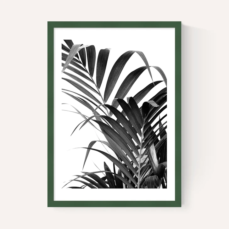 Palm Leaf 02