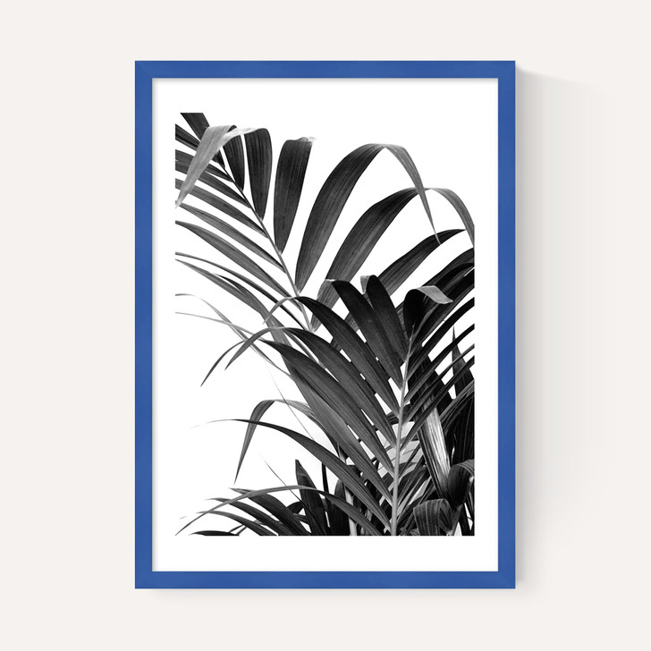 Palm Leaf 02