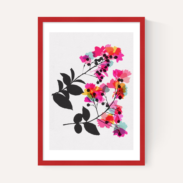 Myrtle 4