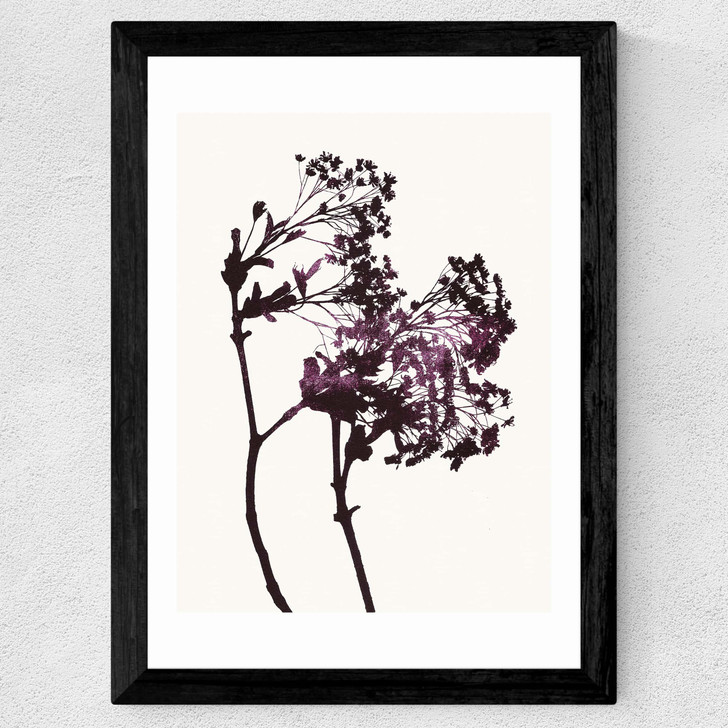 Red Maple Wide Black Frame