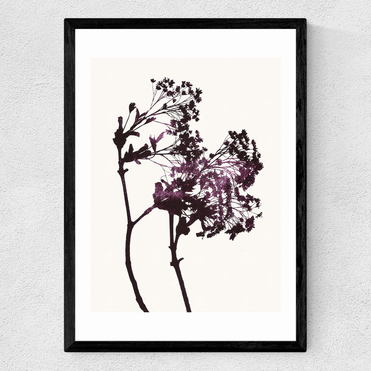 Red Maple Medium Black Frame