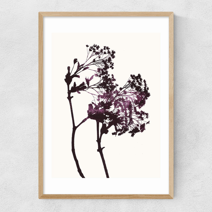Red Maple Narrow Oak Frame