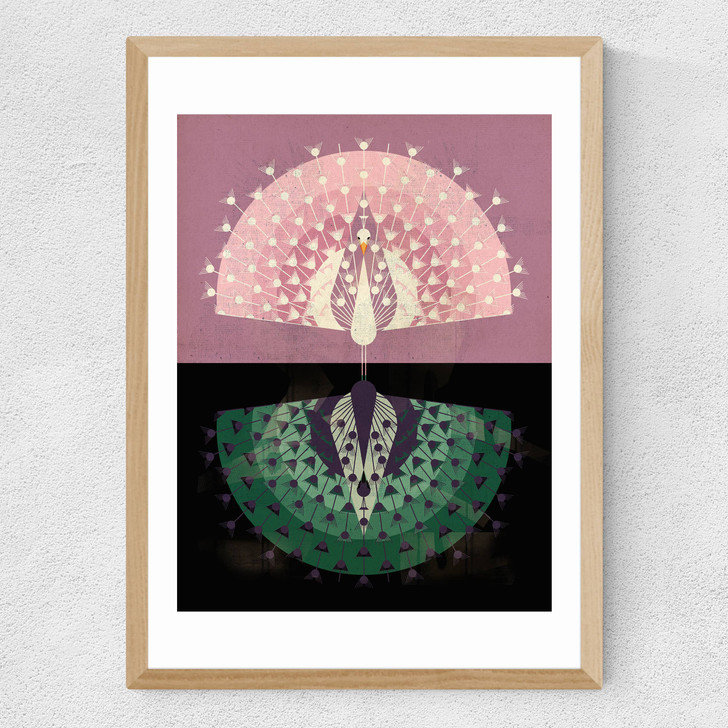 Peacock Medium Oak Frame