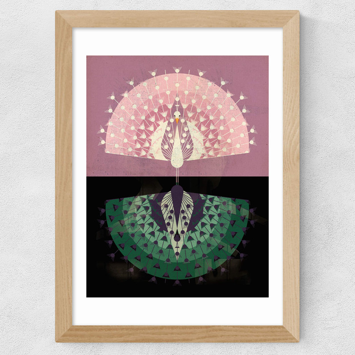 Peacock Wide Oak Frame