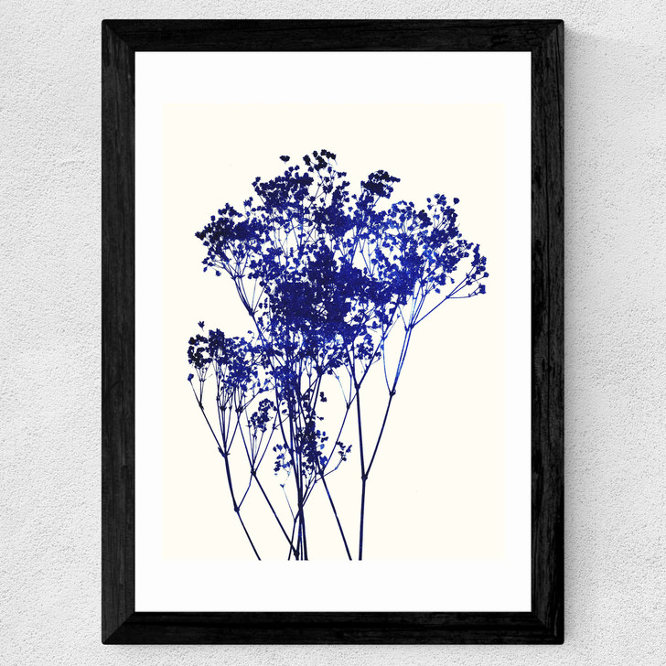 Baby's Breath Wide Black Frame