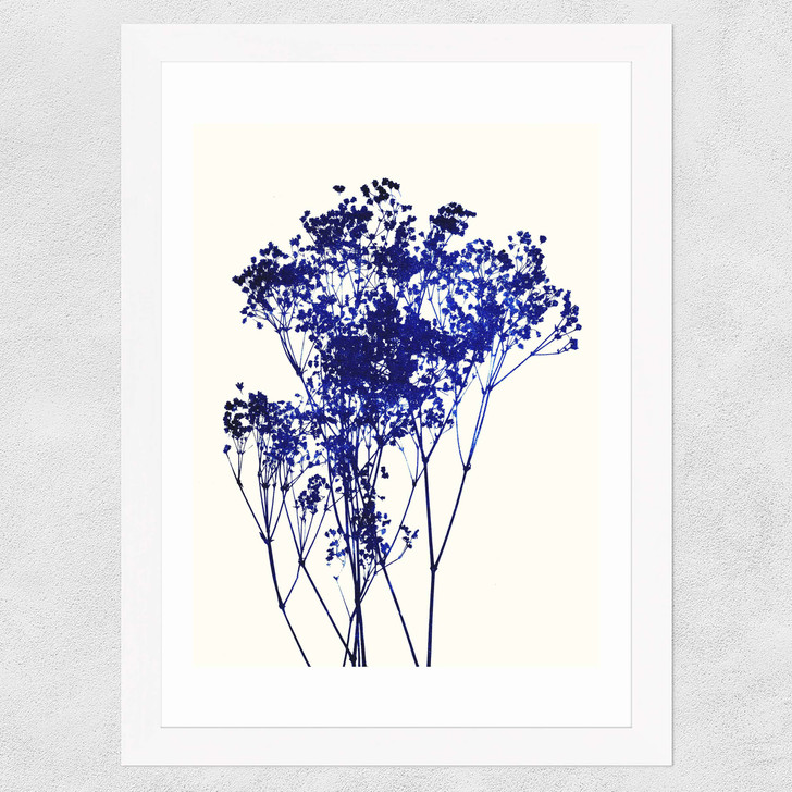 Baby's Breath Wide White Frame