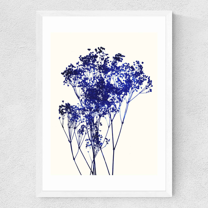 Baby's Breath Medium White Frame