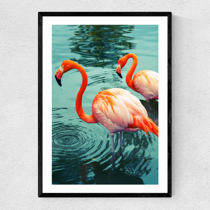Flamingoes Narrow Black Frame