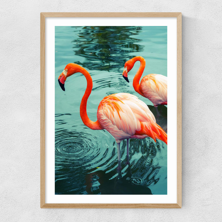 Flamingoes Narrow Oak Frame