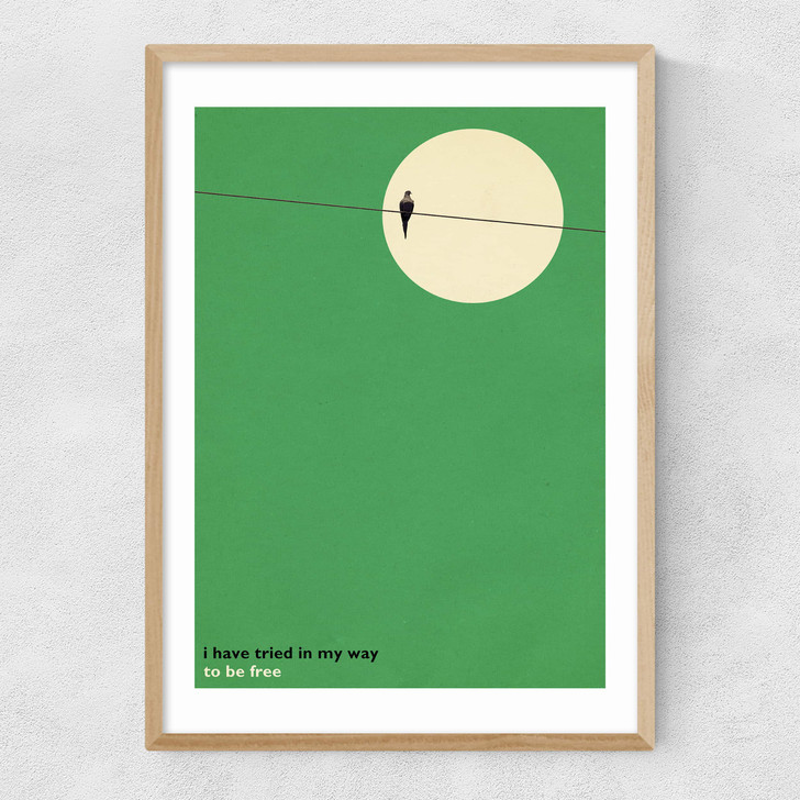 Bird on a Wire