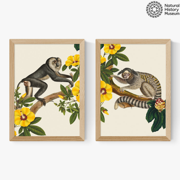 Monkey Diptych Medium Oak Frame