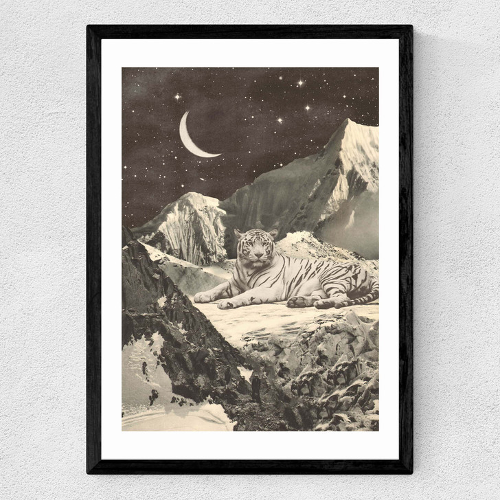 White Tiger Medium Black Frame White Tiger Medium Black Frame