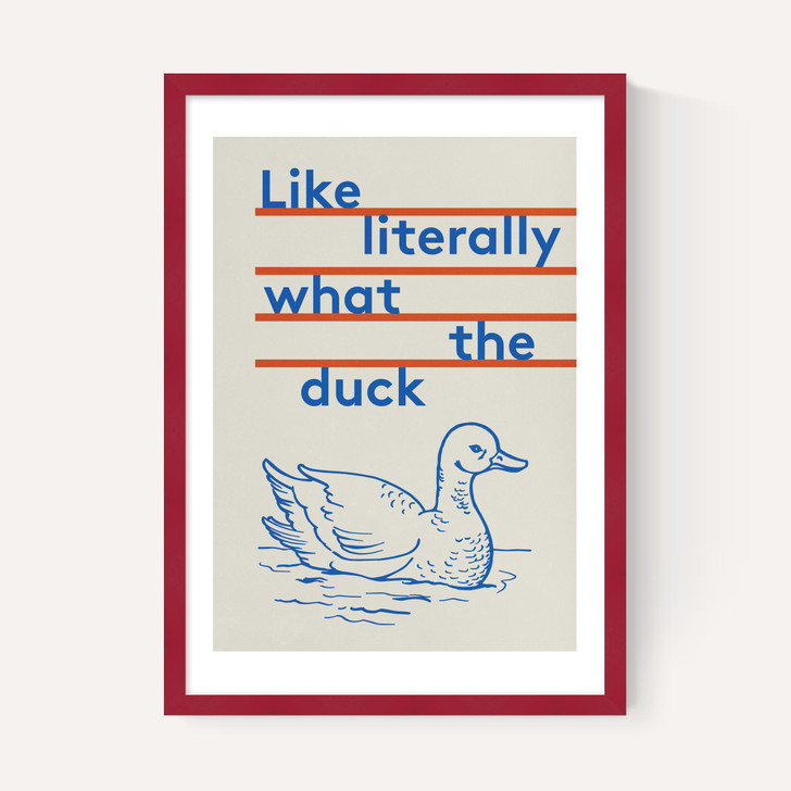 What The Duck