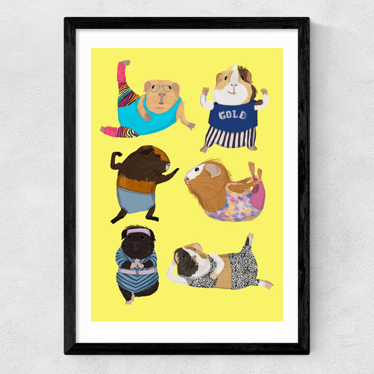 Guinea Pig Aerobic Medium Black Frame