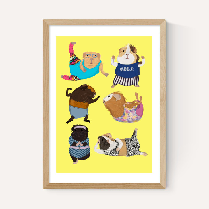 Guinea Pig Aerobic