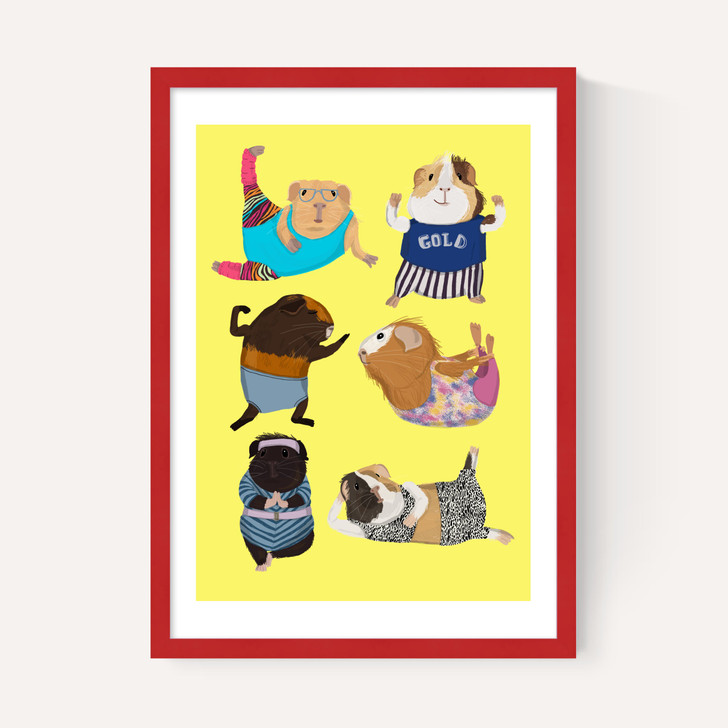 Guinea Pig Aerobic