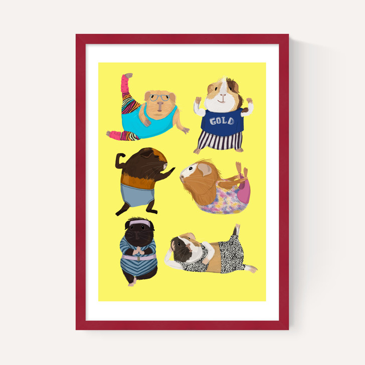 Guinea Pig Aerobic