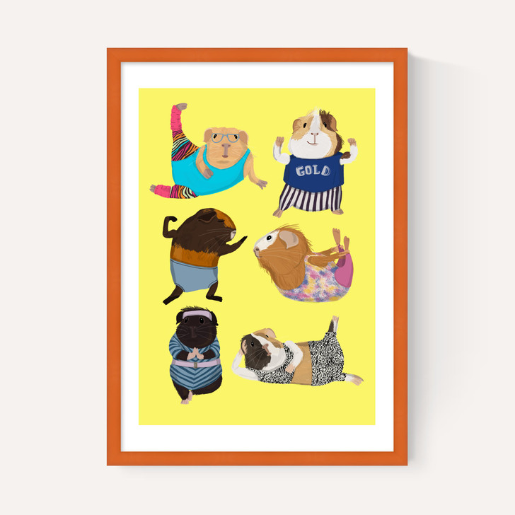 Guinea Pig Aerobic