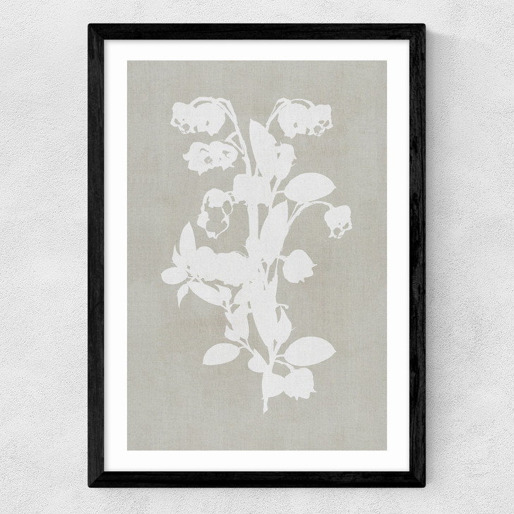 Botanical Illustration IV Medium Black Frame