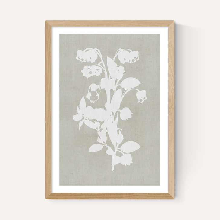 Botanical Illustration IV