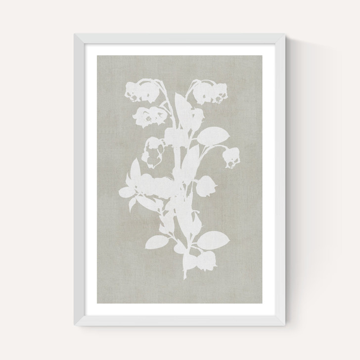 Botanical Illustration IV